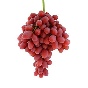uva rossa senza semi crimson